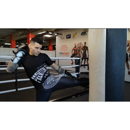 Premium Fighter – Basic (Rashguard)